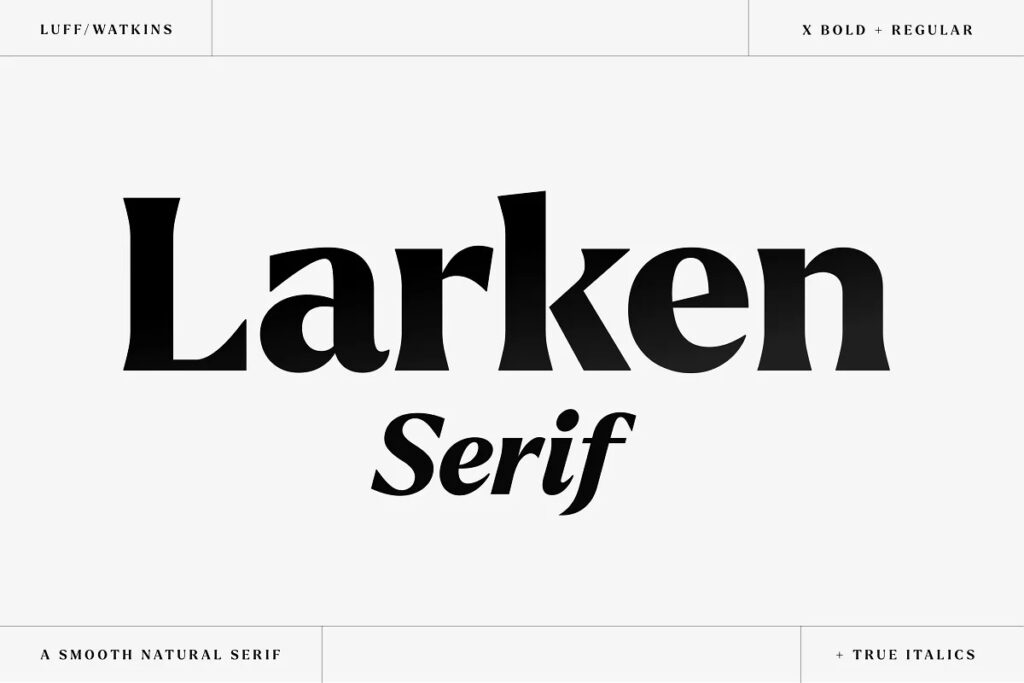 Larken – A Beautiful Serif