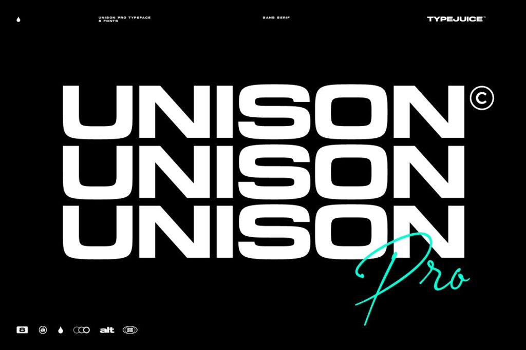 Unison Pro Complete Font